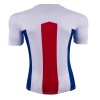 Goedkope Crystal Palace Uitshirt 2020-21